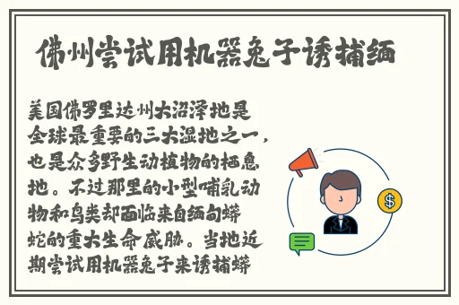 91人人爽久久涩噜噜噜